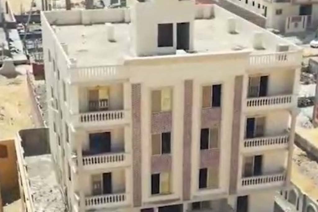 النرجس الجديدةD427